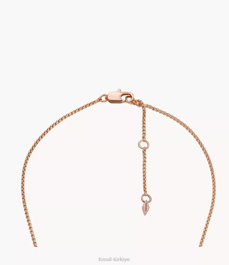 Fossil 6J041268 gül altın tonu ela pirinç kolye kolye takı kadınlar