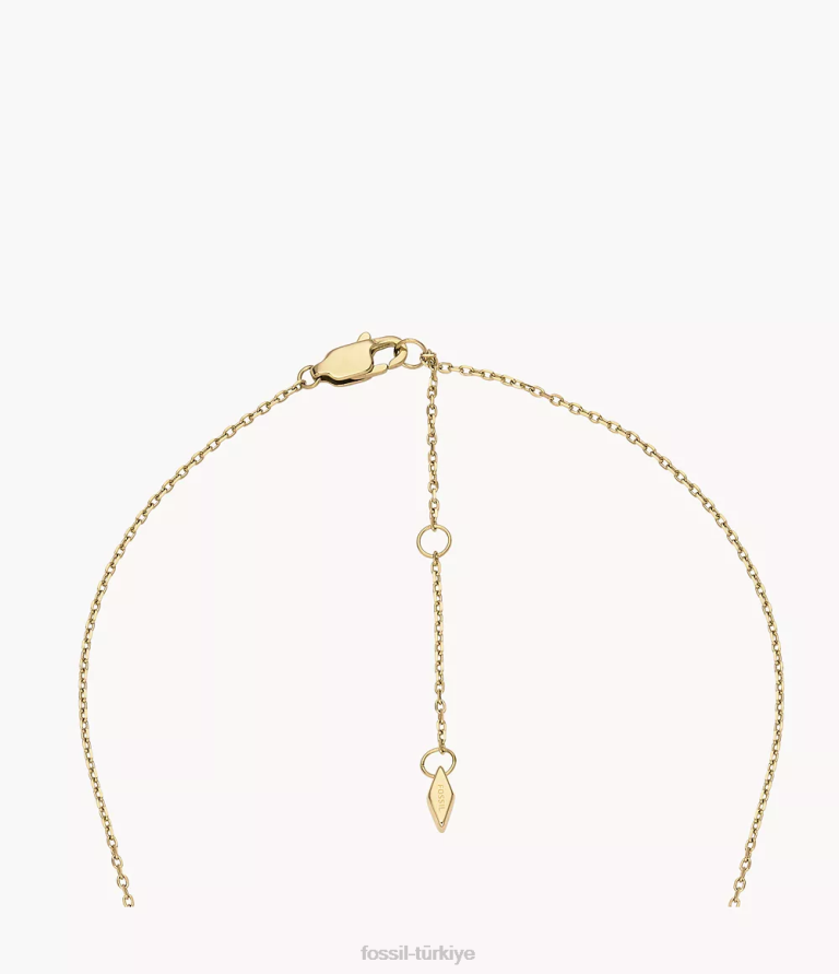 Fossil 6J041274 altın tonu paslanmaz çelik ilk kolye kolye takı kadınlar