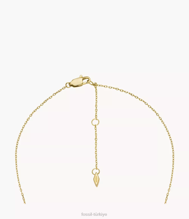 Fossil 6J041275 altın tonu paslanmaz çelik ilk kolye kolye takı kadınlar