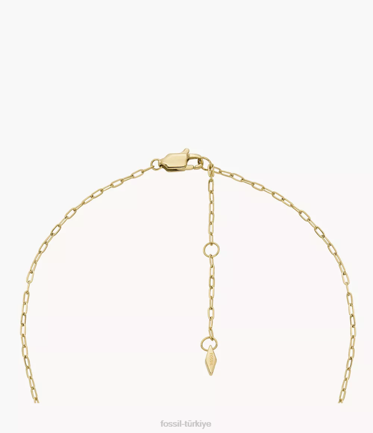Fossil 6J041284 altın tonu ela paslanmaz çelik istasyon kolye takı kadınlar