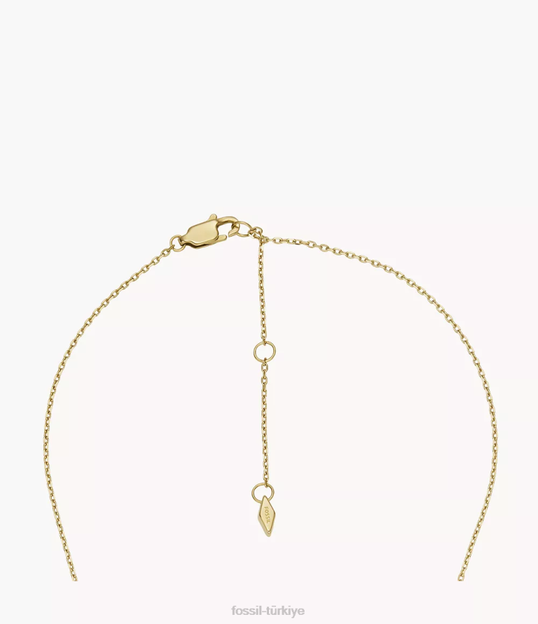 Fossil 6J041286 altın tonu paslanmaz çelik ilk kolye kolye takı kadınlar