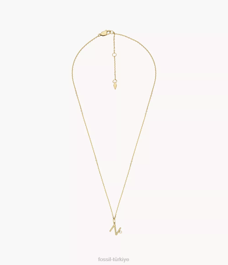 Fossil 6J041300 altın tonu paslanmaz çelik ilk kolye kolye takı kadınlar