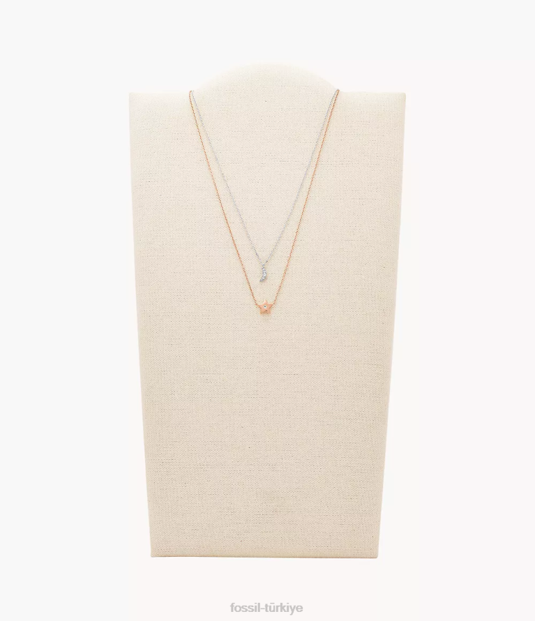 Fossil 6J041308 iki ton ay ve yıldız paslanmaz çelik dönüştürülebilir kolye takı kadınlar