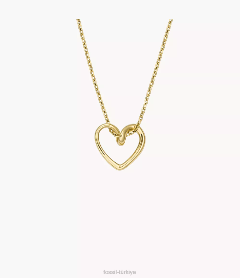 Fossil 6J041316 altın tonu paslanmaz çelik kolye kolye takı kadınlar