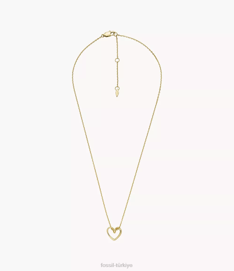 Fossil 6J041316 altın tonu paslanmaz çelik kolye kolye takı kadınlar