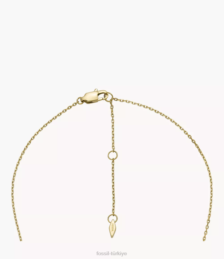 Fossil 6J041316 altın tonu paslanmaz çelik kolye kolye takı kadınlar