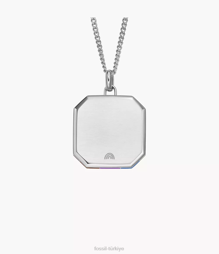 Fossil 6J04896 çok gurur paslanmaz çelik zincir kolye takı kadınlar