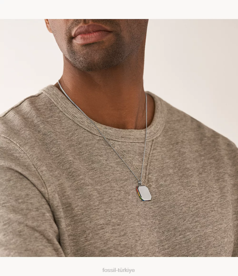 Fossil 6J04896 çok gurur paslanmaz çelik zincir kolye takı kadınlar