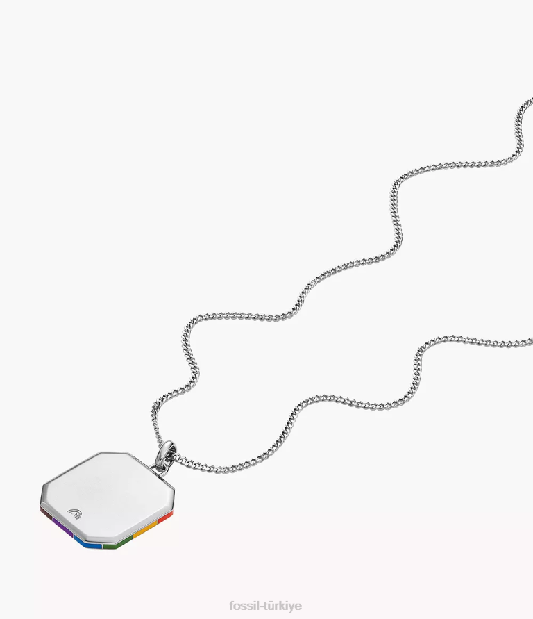 Fossil 6J04896 çok gurur paslanmaz çelik zincir kolye takı kadınlar