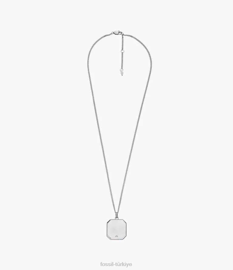Fossil 6J04896 çok gurur paslanmaz çelik zincir kolye takı kadınlar