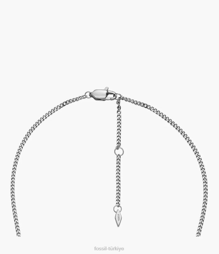Fossil 6J04896 çok gurur paslanmaz çelik zincir kolye takı kadınlar