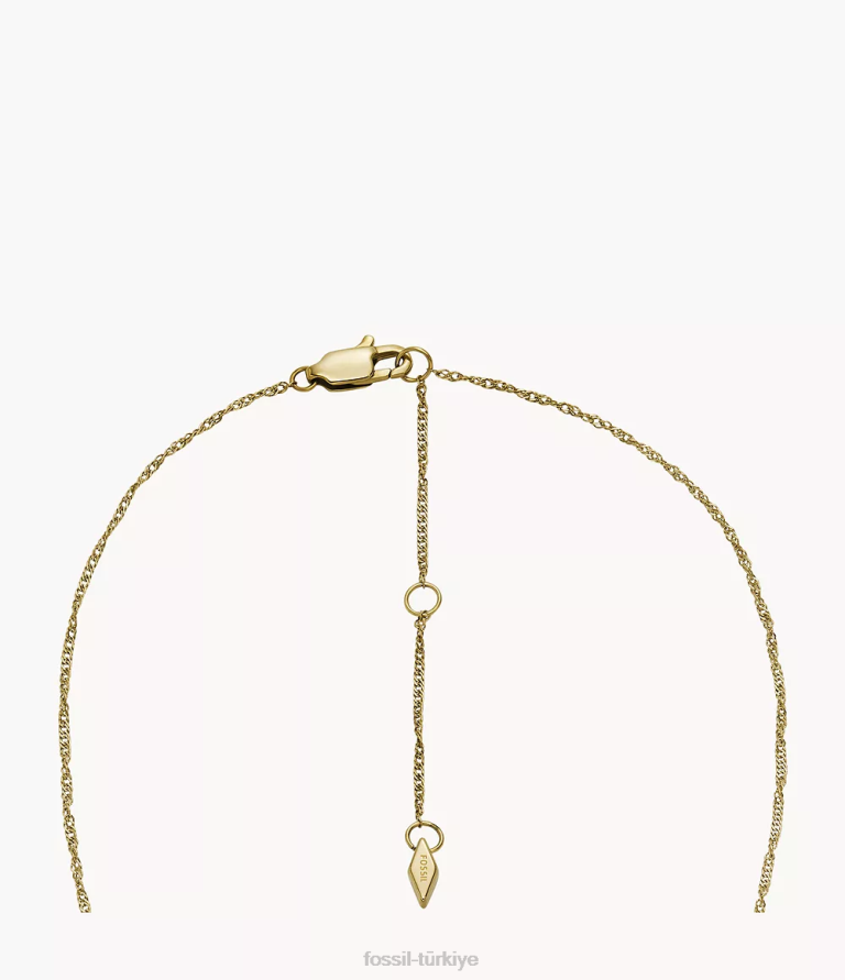 Fossil 6J04897 beyaz sedef parlak kanatlar kelebek zincir kolye takı kadınlar