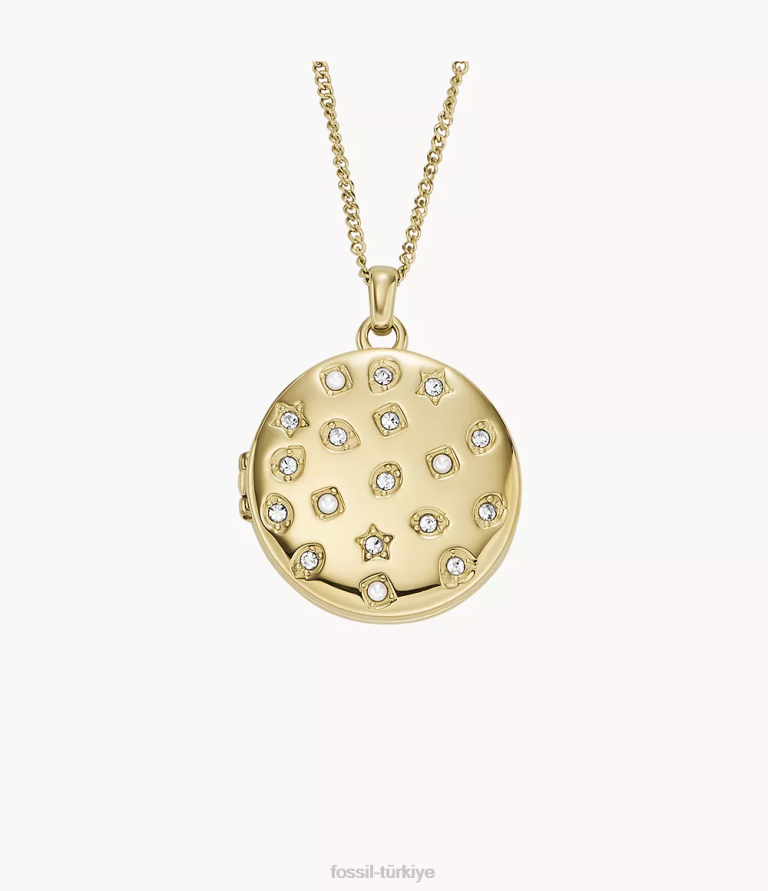 Fossil 6J04901 altın tonu madalyon koleksiyonu paslanmaz çelik zincir kolye takı kadınlar