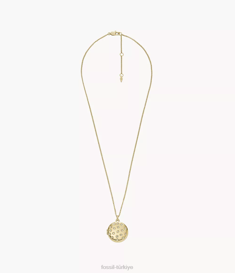 Fossil 6J04901 altın tonu madalyon koleksiyonu paslanmaz çelik zincir kolye takı kadınlar