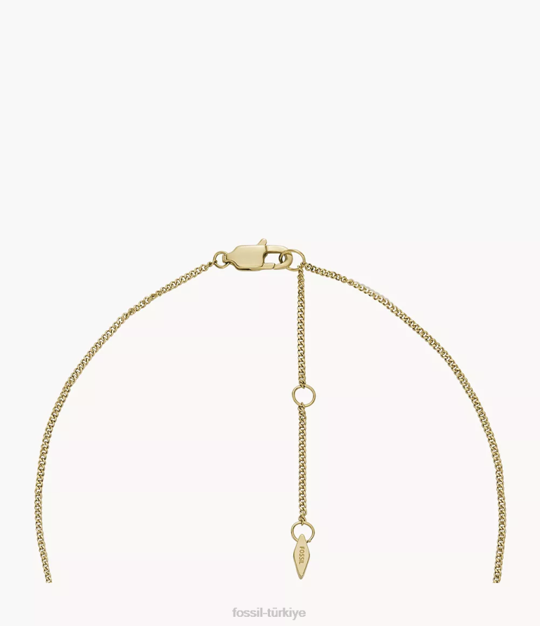 Fossil 6J04901 altın tonu madalyon koleksiyonu paslanmaz çelik zincir kolye takı kadınlar