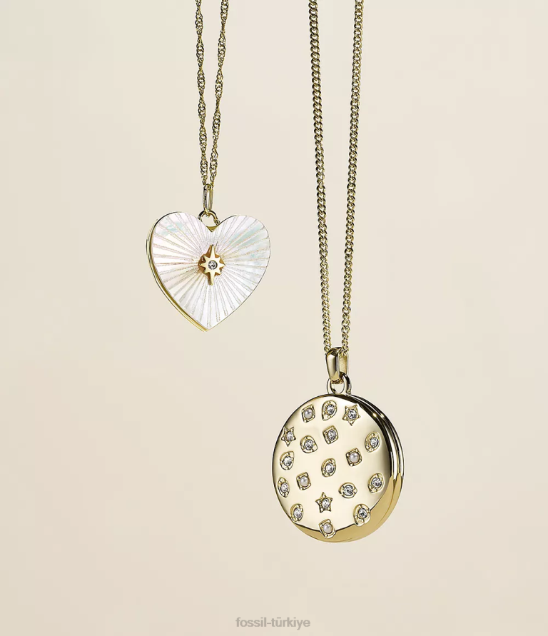 Fossil 6J04901 altın tonu madalyon koleksiyonu paslanmaz çelik zincir kolye takı kadınlar