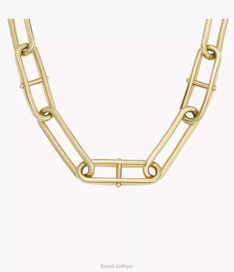 Fossil 6J04902 altın tonu miras d-link paslanmaz çelik zincir kolye takı kadınlar