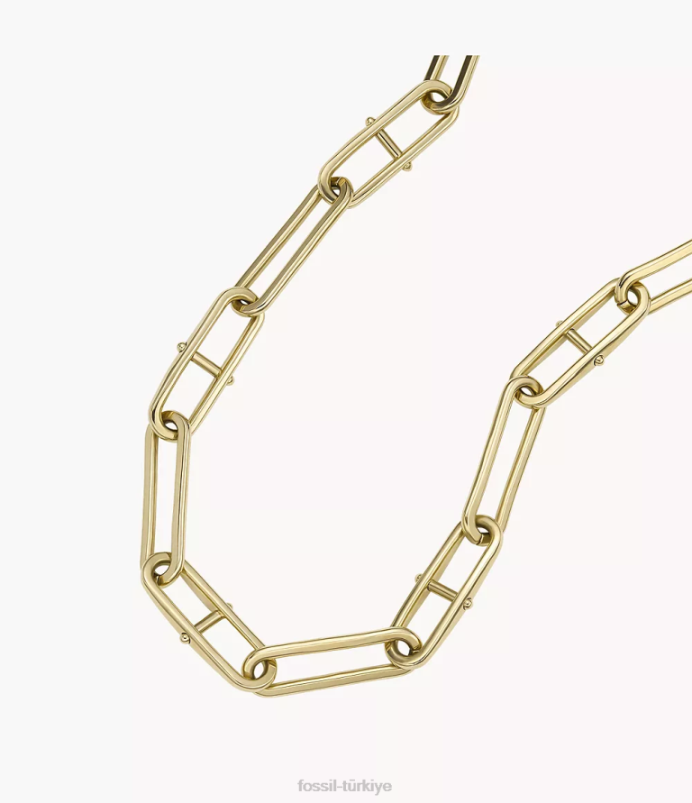 Fossil 6J04902 altın tonu miras d-link paslanmaz çelik zincir kolye takı kadınlar