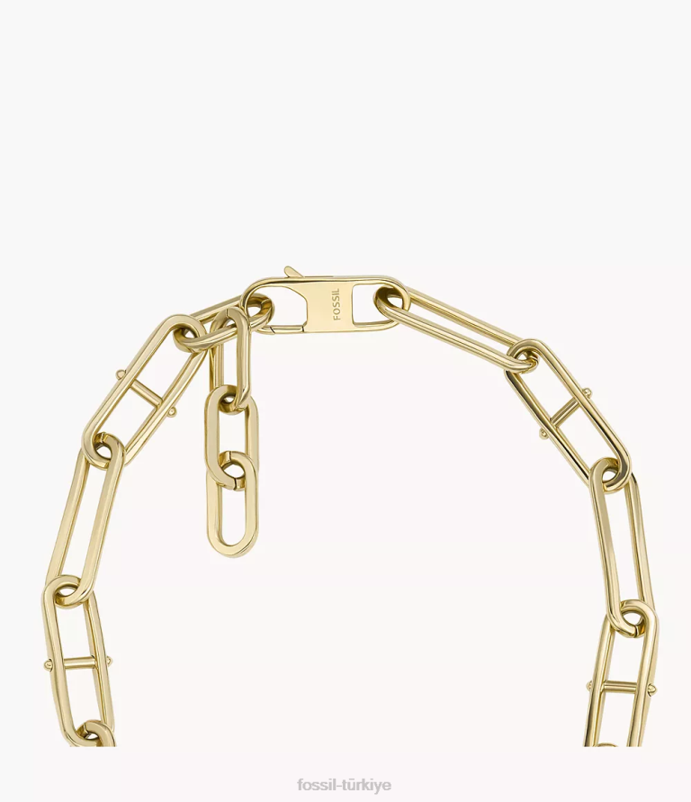 Fossil 6J04902 altın tonu miras d-link paslanmaz çelik zincir kolye takı kadınlar