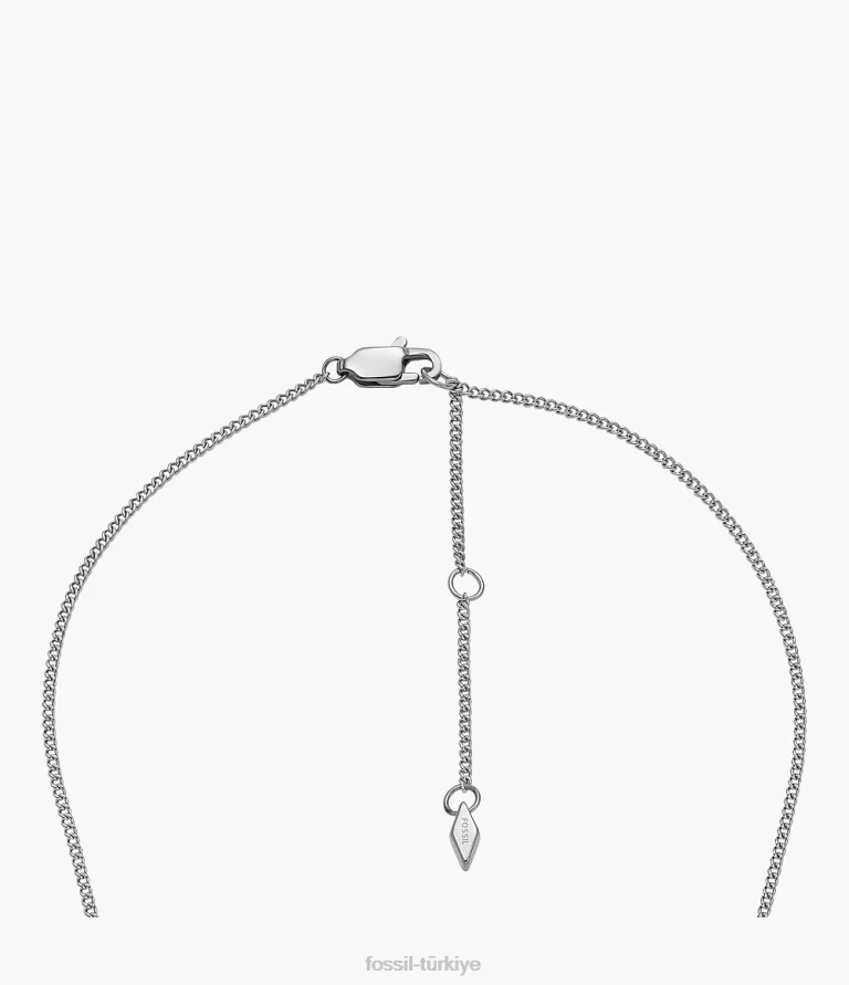 Fossil 6J04908 gümüş ton paslanmaz çelik kolye kolye çekti takı kadınlar