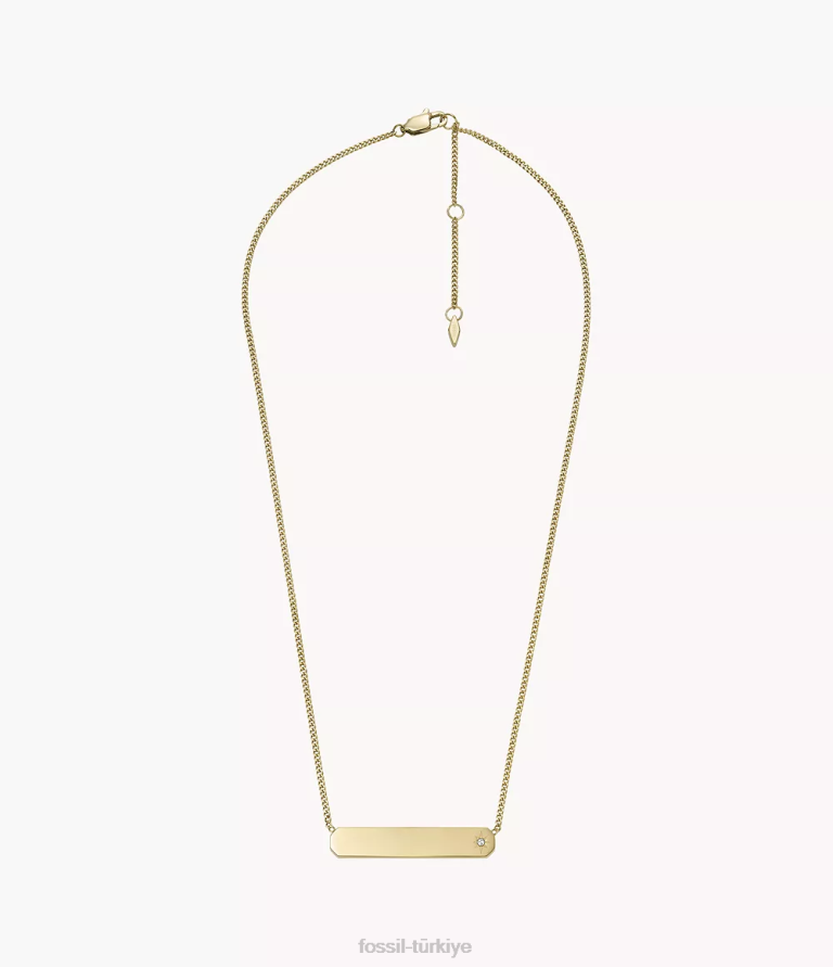 Fossil 6J04909 altın tonu paslanmaz çelik çubuk zincir kolye çekti takı kadınlar