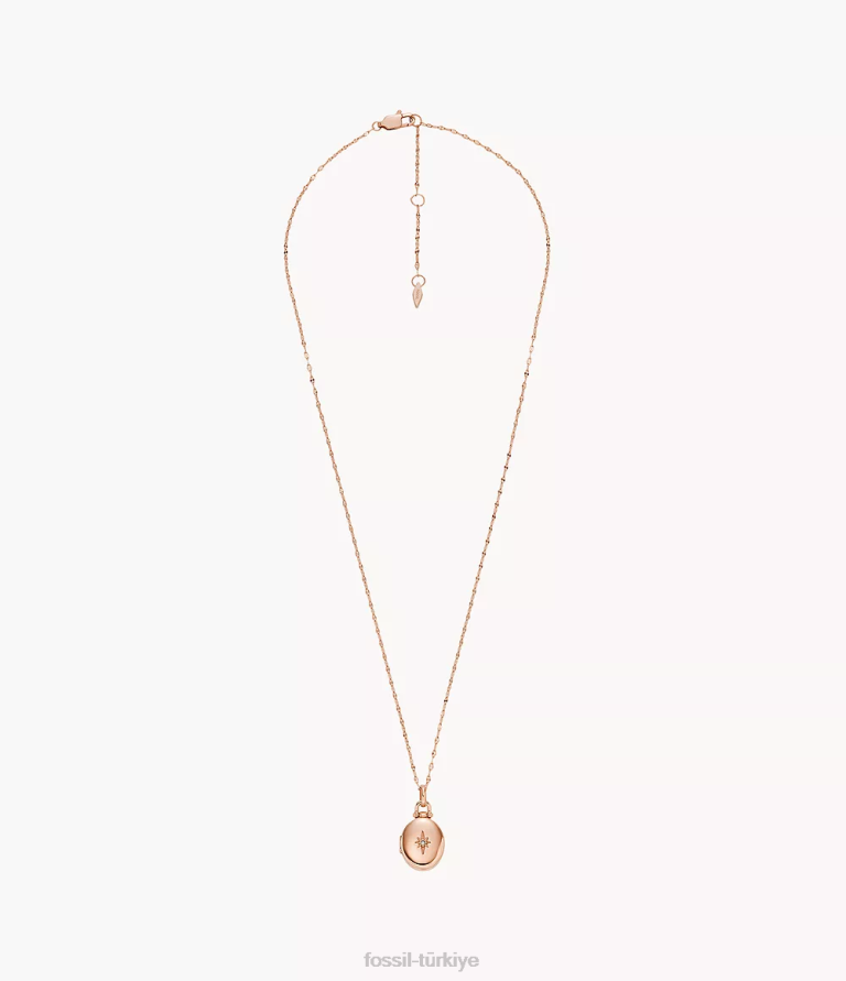 Fossil 6J04910 gül altın tonu madalyon koleksiyonu paslanmaz çelik zincir kolye takı kadınlar