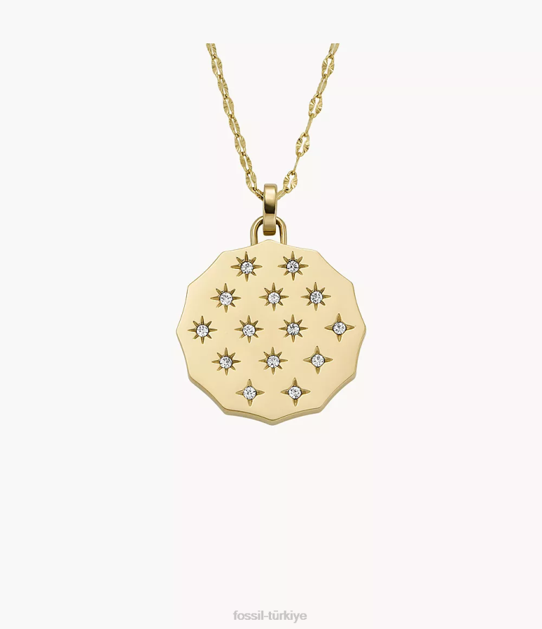 Fossil 6J04913 altın tonu sadie fistolu kenar paslanmaz çelik kolye kolye takı kadınlar