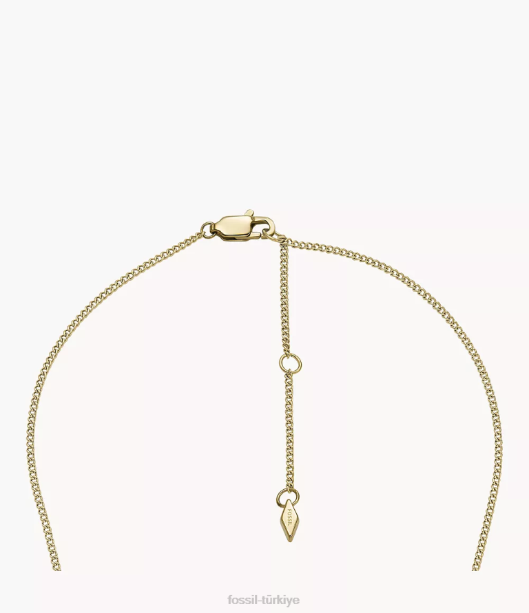 Fossil 6J04921 altın tonu paslanmaz çelik kolye kolye çekti takı kadınlar