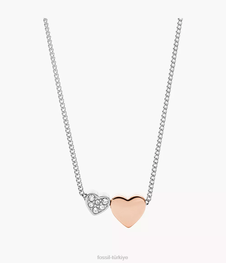 Fossil 6J04927 iki ton sutton duo kalpler paslanmaz çelik kolye takı kadınlar