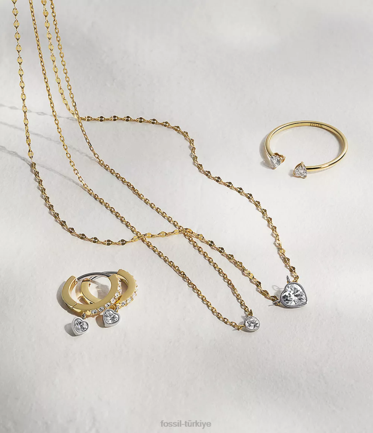 Fossil 6J04932 iki ton sadie sevgi belirteçleri paslanmaz çelik zincir kolye takı kadınlar