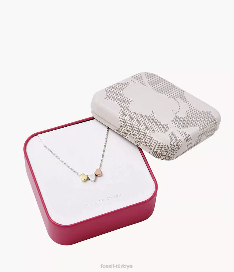 Fossil 6J04935 gümüş elliott anneler günü kalpli üç tonlu sterling kutulu kolye takı kadınlar