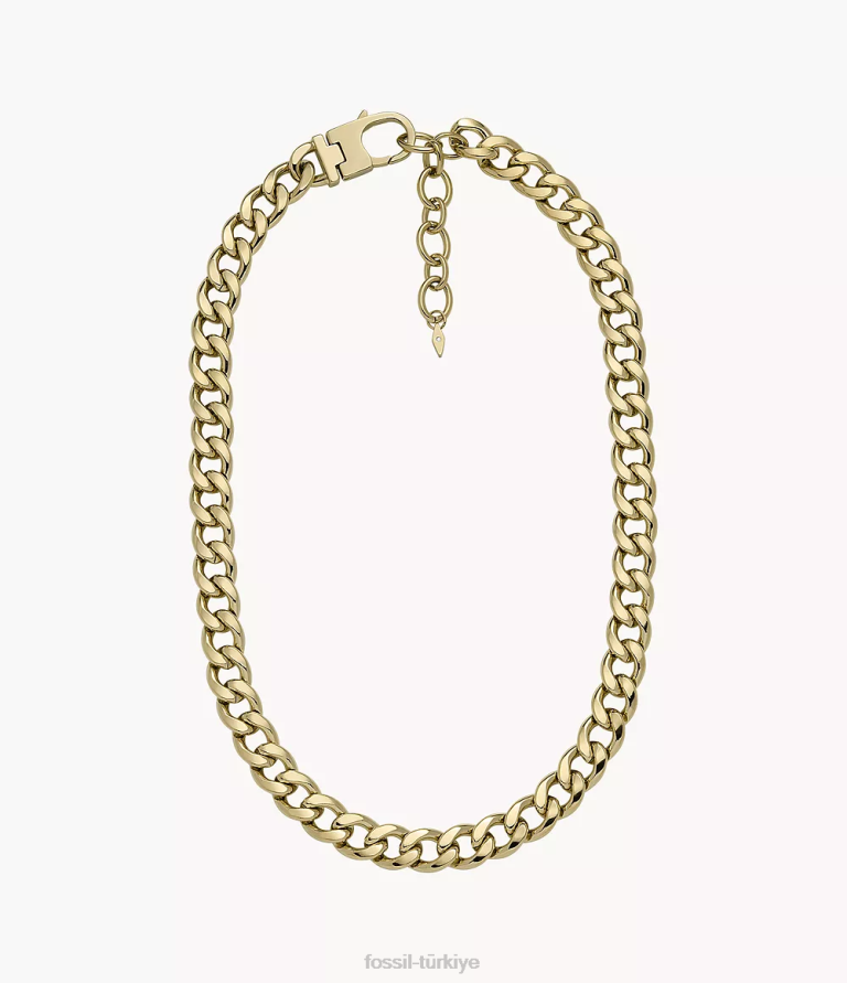 Fossil 6J04937 altın tonu tamamı yığılmış paslanmaz çelik zincir kolye takı kadınlar