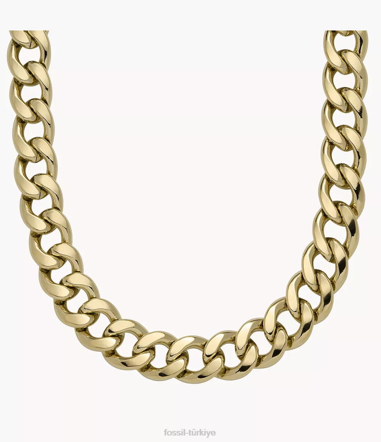 Fossil 6J04937 altın tonu tamamı yığılmış paslanmaz çelik zincir kolye takı kadınlar