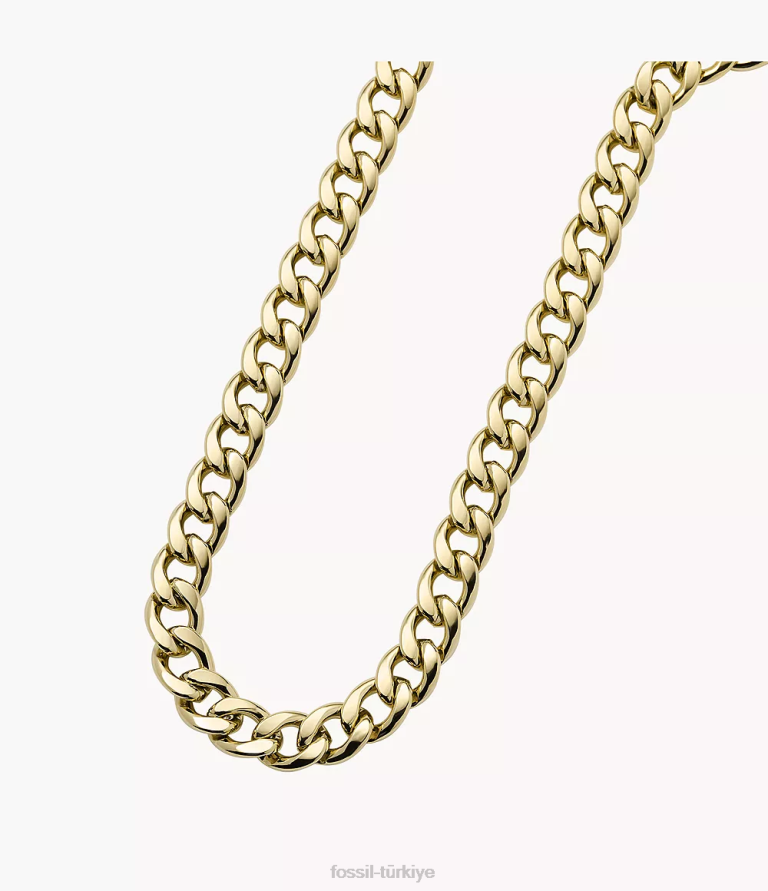 Fossil 6J04937 altın tonu tamamı yığılmış paslanmaz çelik zincir kolye takı kadınlar