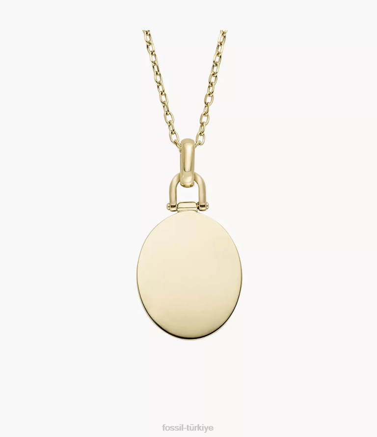 Fossil 6J04942 altın tonu paslanmaz çelik kolye kolye çekti takı kadınlar