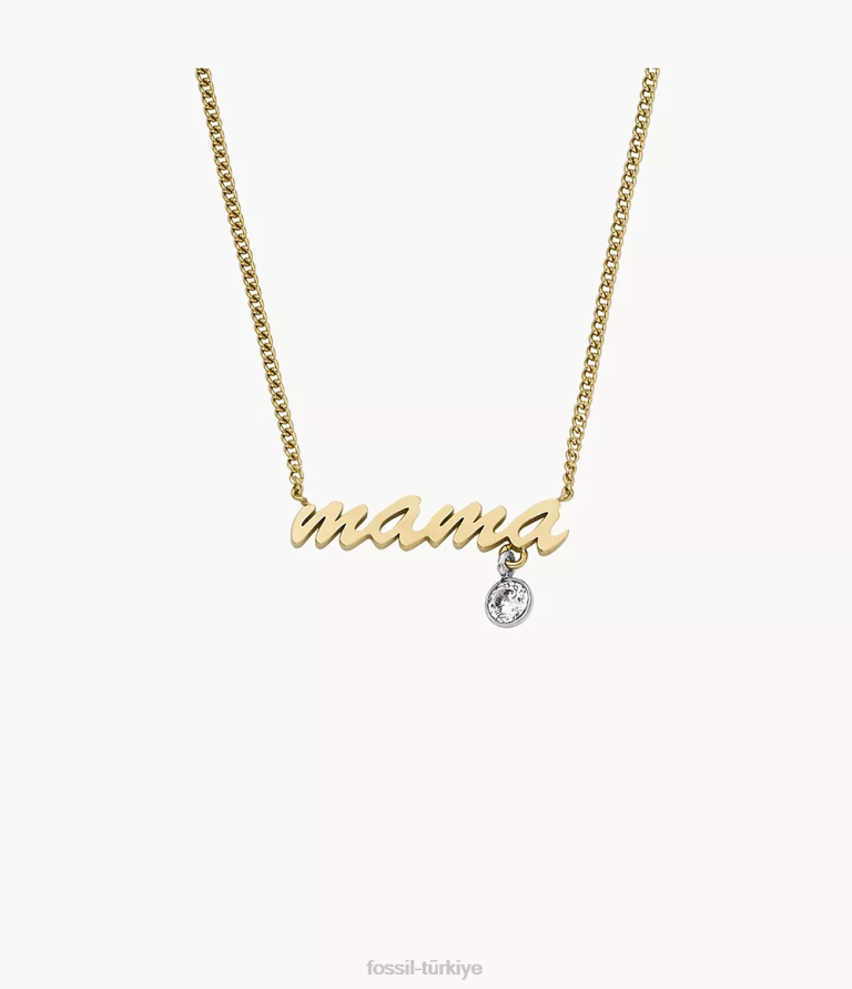 Fossil 6J04945 iki ton sadie isimli kolye paslanmaz çelik zincir kolye takı kadınlar