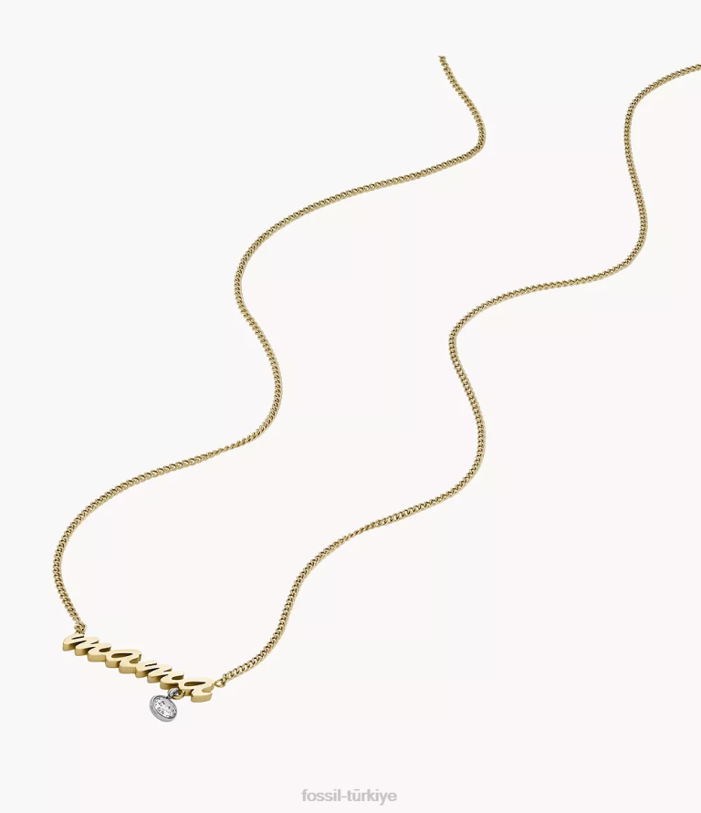 Fossil 6J04945 iki ton sadie isimli kolye paslanmaz çelik zincir kolye takı kadınlar