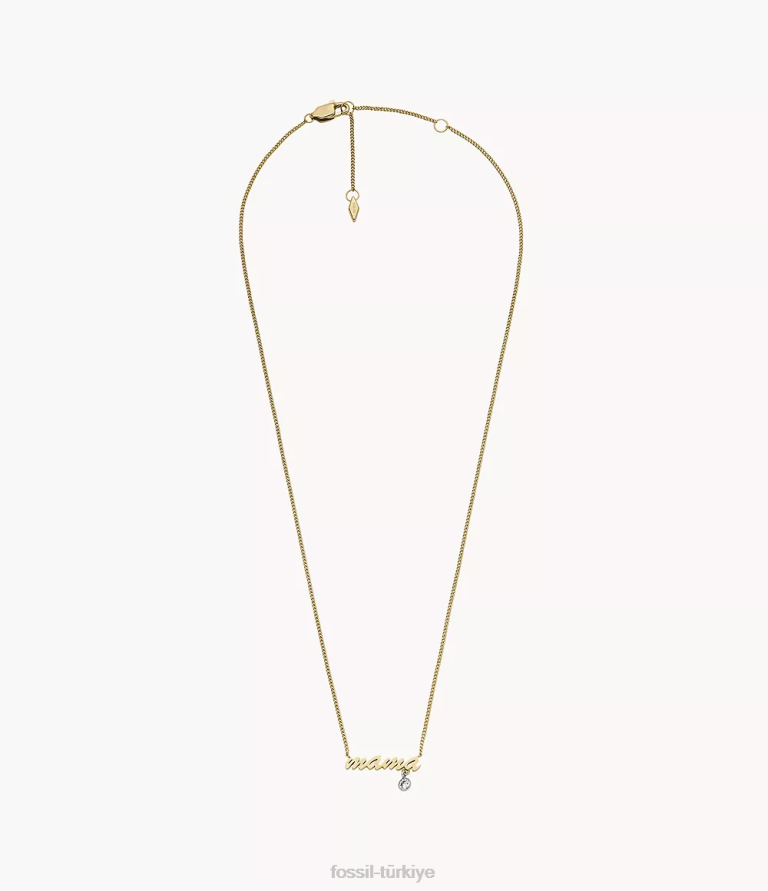 Fossil 6J04945 iki ton sadie isimli kolye paslanmaz çelik zincir kolye takı kadınlar