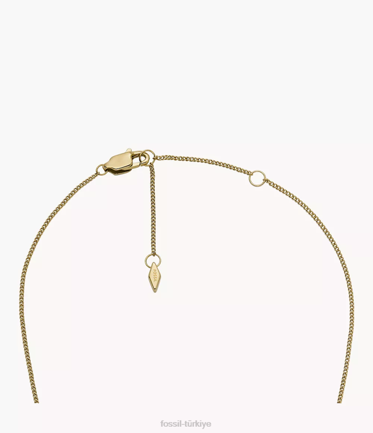 Fossil 6J04945 iki ton sadie isimli kolye paslanmaz çelik zincir kolye takı kadınlar