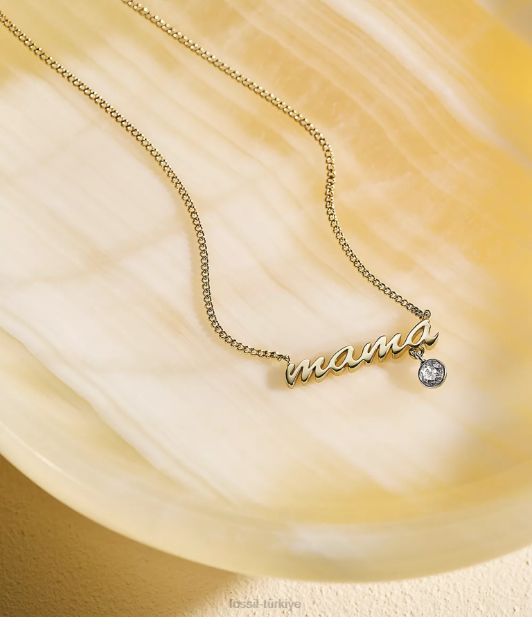 Fossil 6J04945 iki ton sadie isimli kolye paslanmaz çelik zincir kolye takı kadınlar