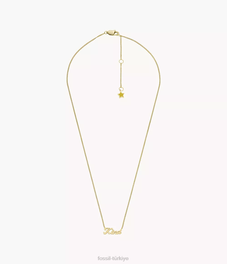 Fossil 6J04947 altın tonu la la arazi paslanmaz çelik zincir kolye takı kadınlar