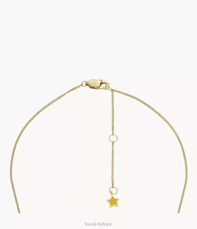 Fossil 6J04947 altın tonu la la arazi paslanmaz çelik zincir kolye takı kadınlar