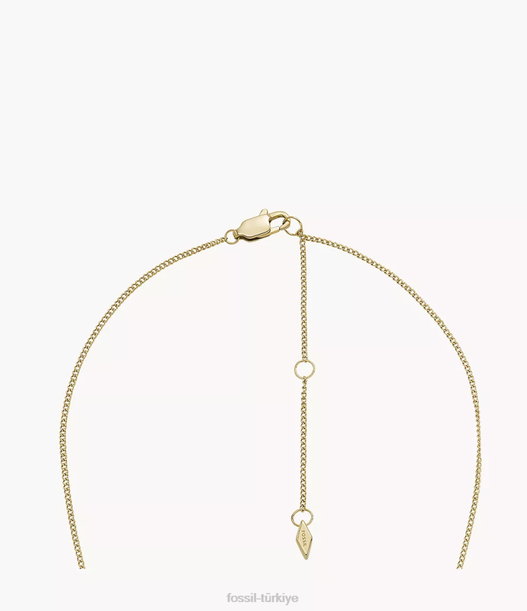 Fossil 6J04948 iki ton sadie aşk notları paslanmaz çelik istasyon kolye takı kadınlar