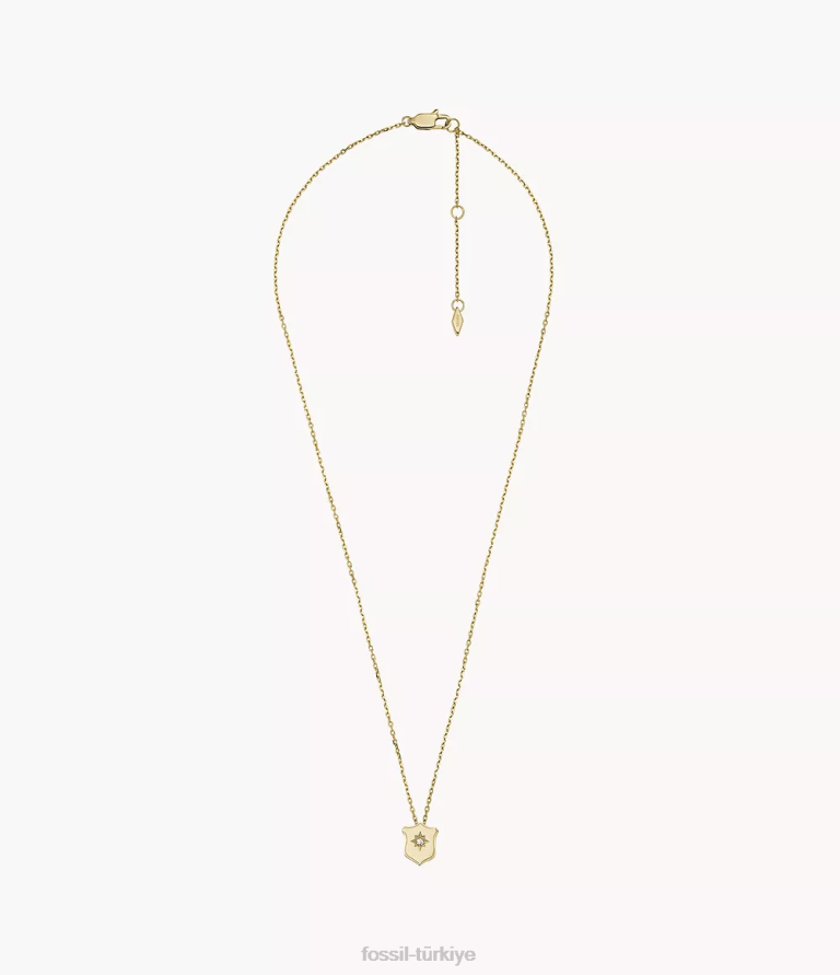 Fossil 6J04951 altın tonu miras essentials paslanmaz çelik kalkan kolye kolye takı kadınlar