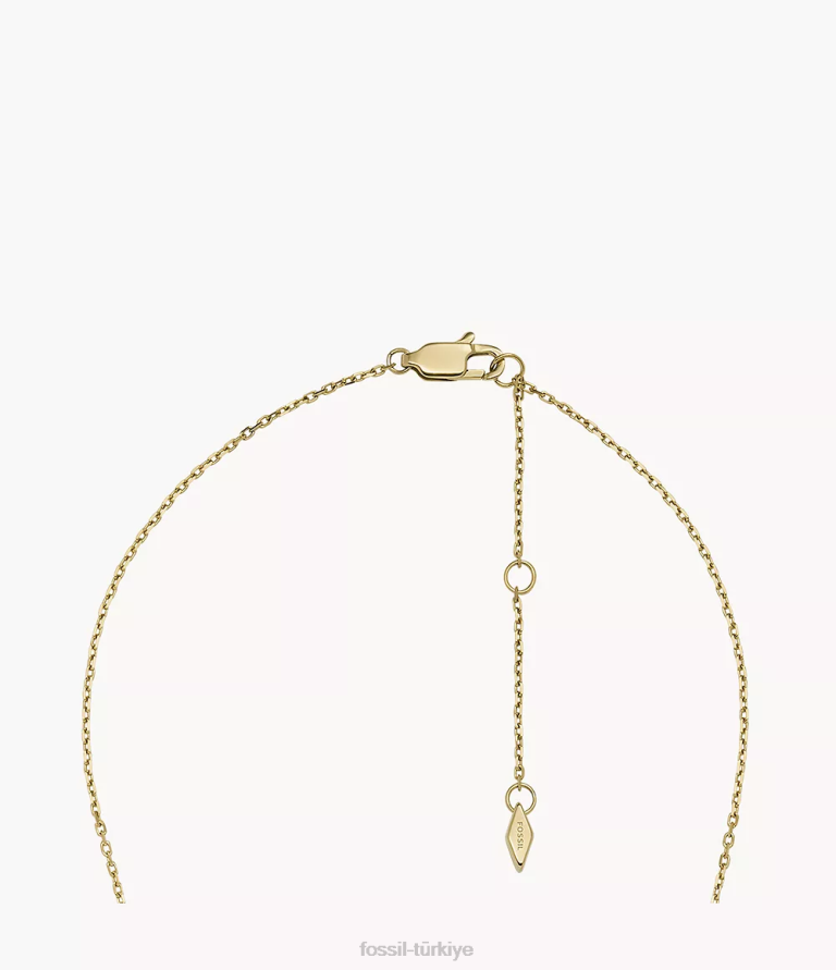 Fossil 6J04951 altın tonu miras essentials paslanmaz çelik kalkan kolye kolye takı kadınlar