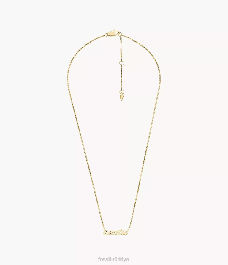 Fossil 6J04953 altın tonu isim kolye paslanmaz çelik zincir kolye takı kadınlar