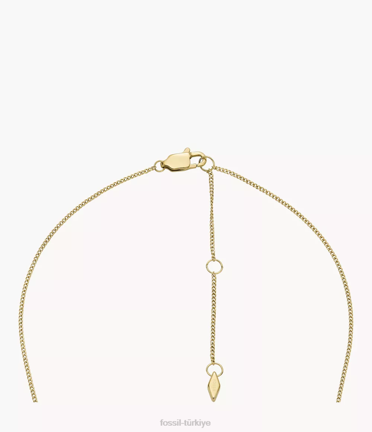 Fossil 6J04953 altın tonu isim kolye paslanmaz çelik zincir kolye takı kadınlar