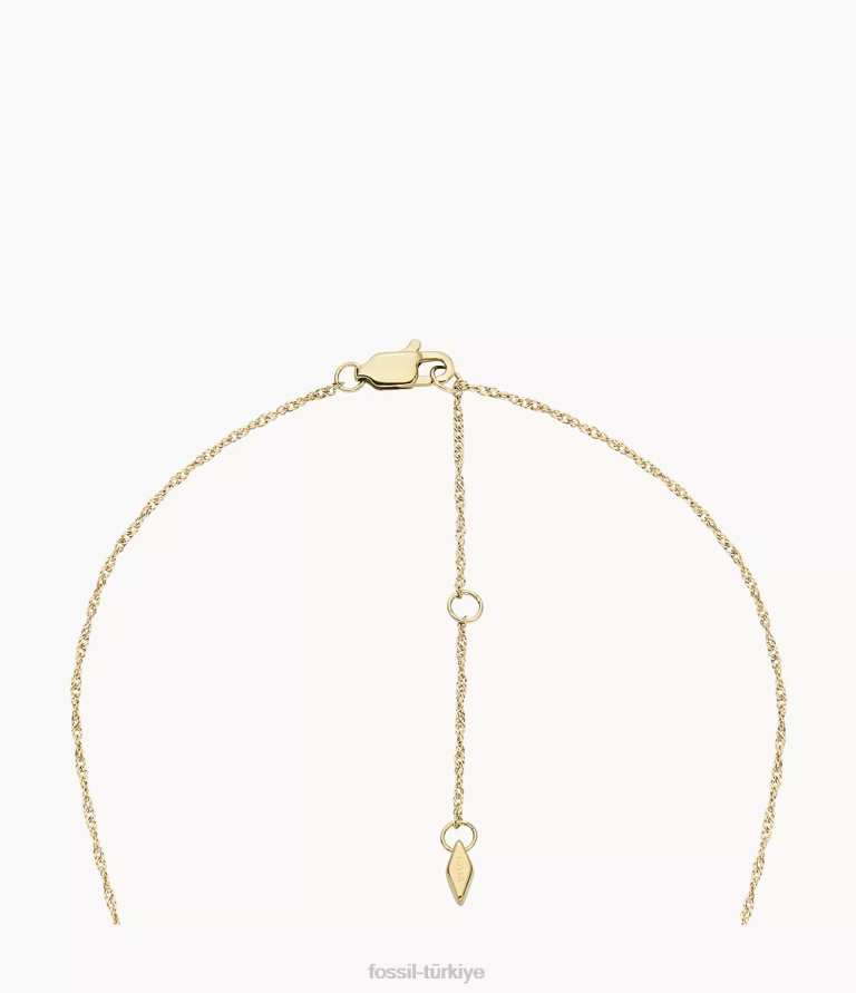 Fossil 6J04957 beyaz sedef madalyon koleksiyonu zincir kalp kolye takı kadınlar