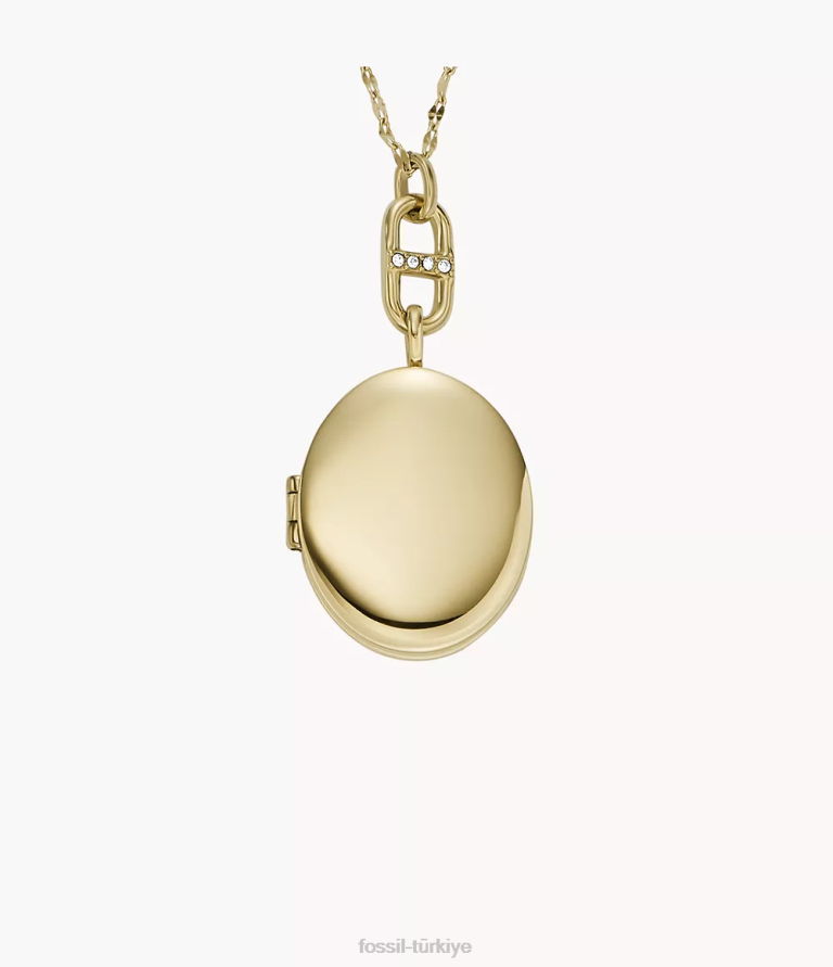 Fossil 6J04959 altın tonu madalyon koleksiyonu paslanmaz çelik zincir kolye takı kadınlar