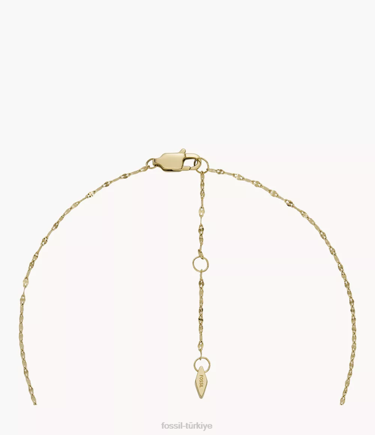 Fossil 6J04959 altın tonu madalyon koleksiyonu paslanmaz çelik zincir kolye takı kadınlar